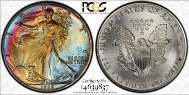 1989 $1 Silver Eagle MS67