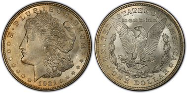 1921 $1 Morgan, Pitted Reverse MS64