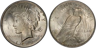 1922 $1 VAM 7, Doubled Wing MS63