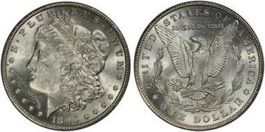 1896 $1 VAM 19, 8 in Denticle MS62