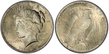 1923 $1 VAM 1V, Extra Hair MS65