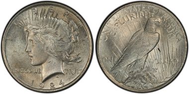 1924 $1 VAM 1G Wing Break MS62