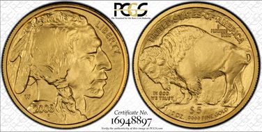 2008-W $5 Burnished American Buffalo .9999 Fine Gold SP70