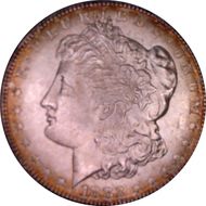 1882-S $1 MS64