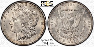 1902-O $1 VAM 43 Doubled Ear MS63