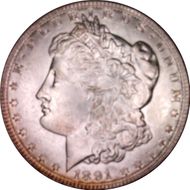 1891 $1 MS65