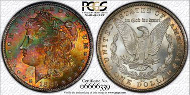 1885-CC $1 MS66