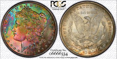 1884 $1 MS66