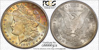 1891-CC $1 MS65