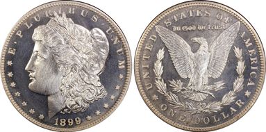1899 $1 PR64CAM
