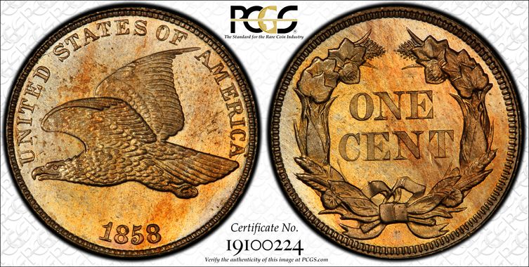 Cert 19100224 - Coin Image