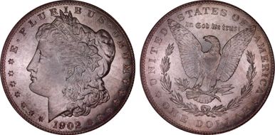 1902 $1 MS67
