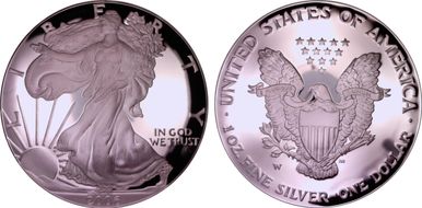 2006-W $1 Eagle-20th Anniversary PR69DCAM