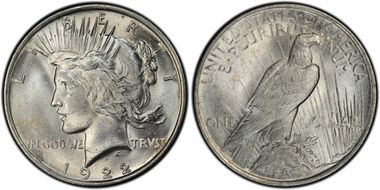 1922 $1 VAM 17 Doubled Wing MS63