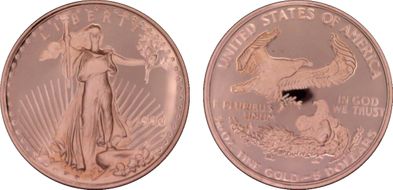 1996-W $5 Gold Eagle PR69DCAM