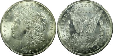 1921 $1 Morgan MS65
