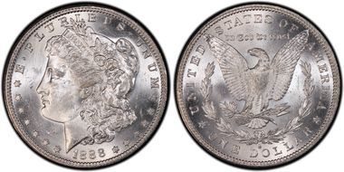 1888-S $1 VAM 13, Gouged Eagle MS63
