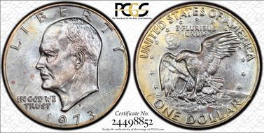 1973-D $1 MS64