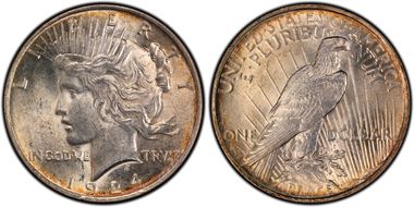 1924 $1 VAM 2 Doubled Reverse MS62