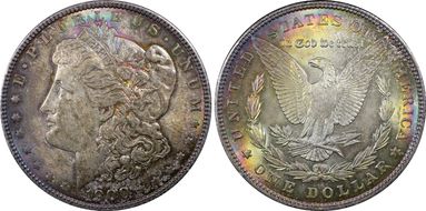 1900 $1 MS63