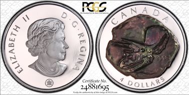 2008 $4 Triceratops PR69DCAM
