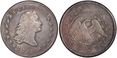 1795 $1 Flowing Hair, 2 Leaves N1