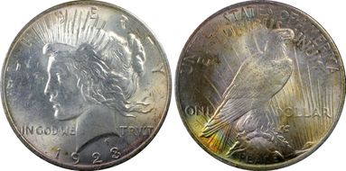 1923 $1 MS62