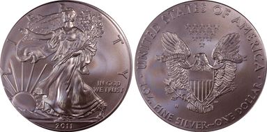2011-W $1 Burnished Silver Eagle SP69
