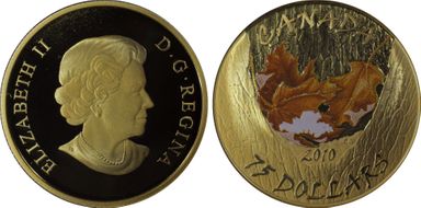 2010 $75 Winter PR69DCAM