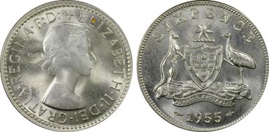 1955(m) 6D KM-58  Ag MS65