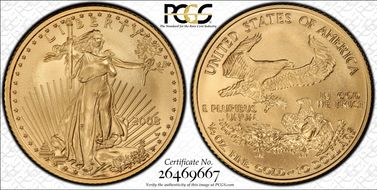 2008-W $10 Burnished Gold Eagle SP70