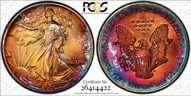 1989 $1 Silver Eagle MS66