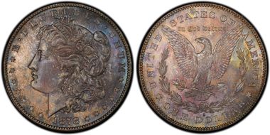 1878-S $1 VAM 6, Doubled RIB MS65
