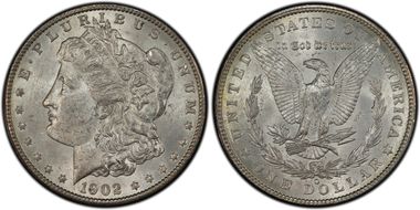 1902-O $1 VAM 43 Doubled Ear MS63