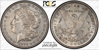 1878 8TF $1 VAM 14.2, Polished Ear AU50