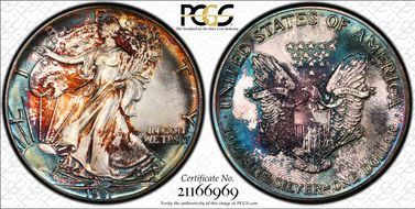 1987 $1 Silver Eagle MS67