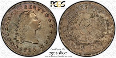1795 $1 Flowing Hair, 3 Leaves XF45