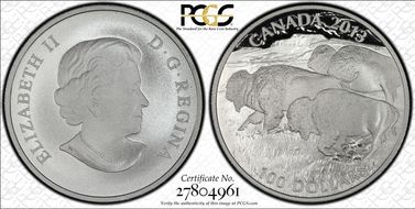 2013 $100 Bison Matte PR69