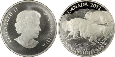 2013 $100 Bison Matte PR69