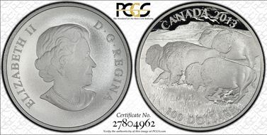 2013 $100 Bison Matte PR69