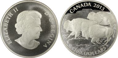 2013 $100 Bison Matte PR69