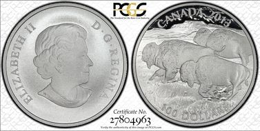 2013 $100 Bison Matte PR69