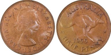 1955(p) 1/2D No Dot MS64BN