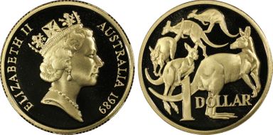 1989 $1 PR69DCAM