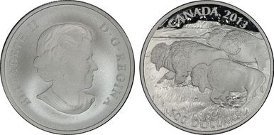 2013 $100 Bison Matte PR70