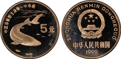 1999 5 Yn Sun-J46b1 Sturgeon PR67DCAM