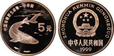 1999 5 Yn Sun-J46b2 Sturgeon PR67DCAM