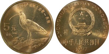 1997 5 Yn Sun-J41c Ibis 样币 SP66RD