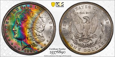 1896 $1 MS66+ 