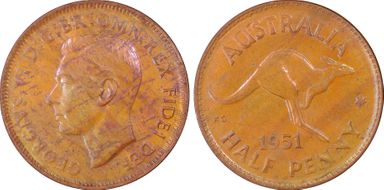 1951(p) 1/2D No Dot MS62RB